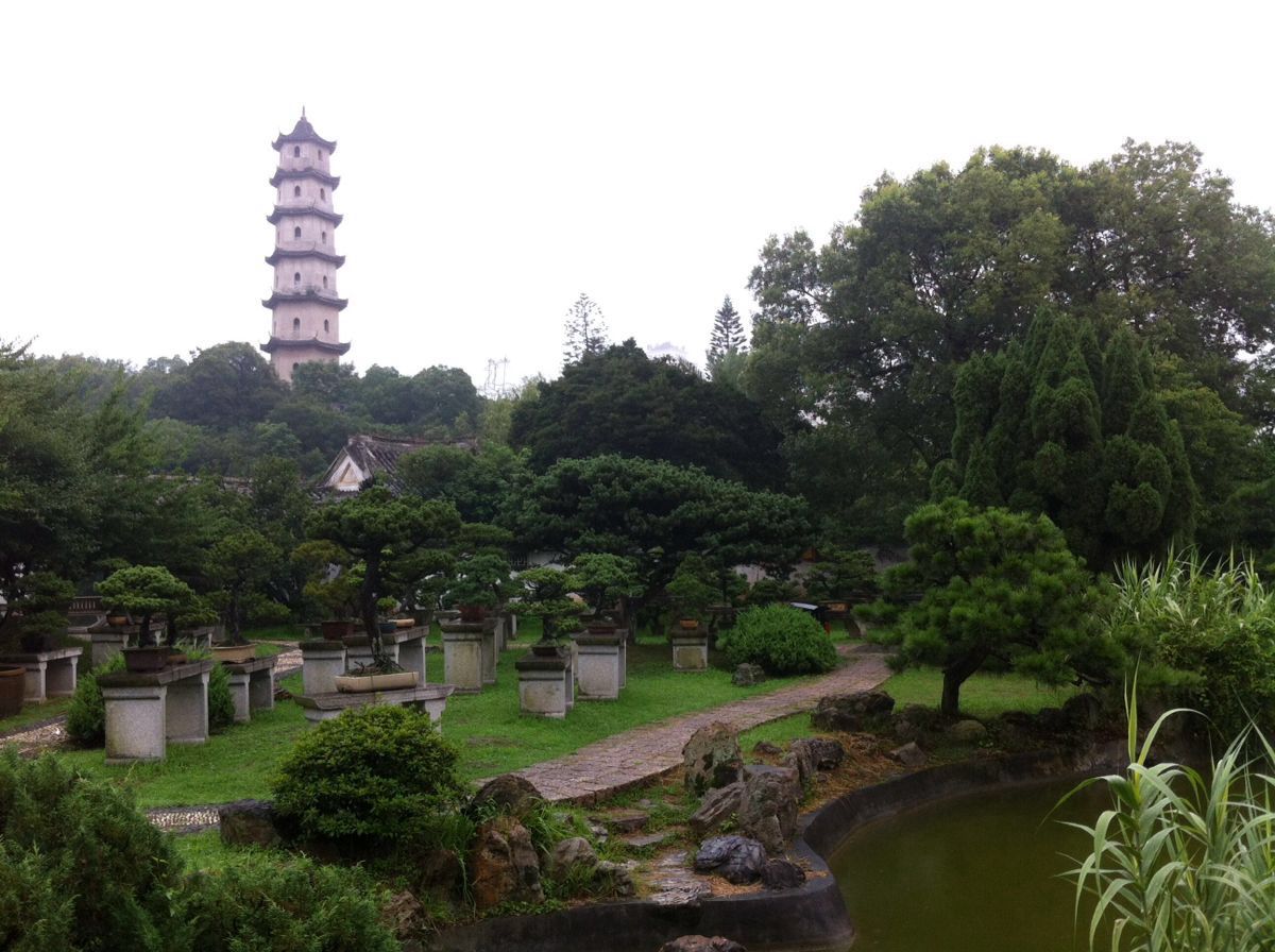 溫州江心寺 親子家庭的文化休閑好去處