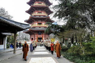 溫州妙果寺第十一期一日禪禪修營圓滿舉行