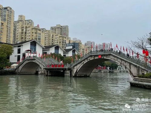 塘河宋韻映虎年，古寺鐘聲話新春——記溫州宋韻塘河與江心寺的別樣年味