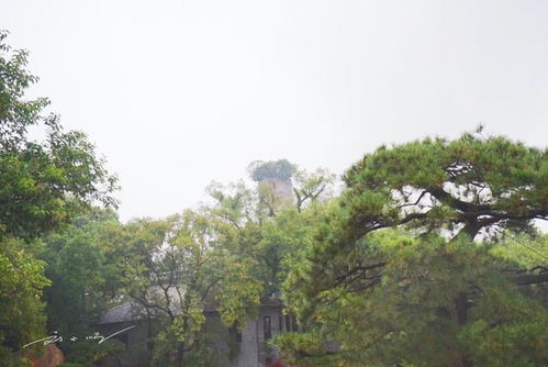 孤嶼雙塔映甌江，千年詩島待知音——探訪溫州江心嶼的靜謐與沉思