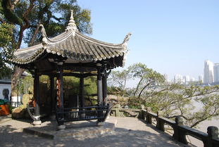 溫州江心嶼與江心寺 甌江上的千年佛國與詩島