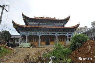 紅色印記與古剎余韻 耒陽革命遺址與溫州江心寺的文化之旅